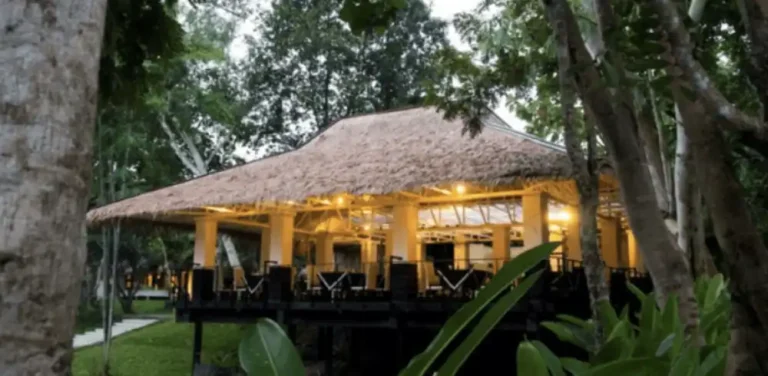 Thailand plant medicine retreat 2024